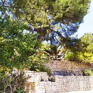  Hébergement de vacances Pietra France